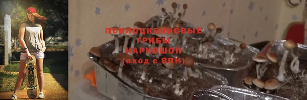 гидропоника Алексеевка